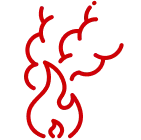 Project icon